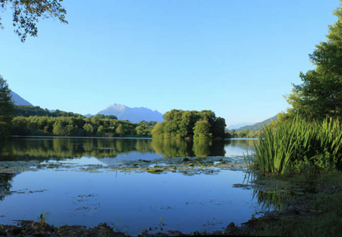 Enquête publique : Projet d'aménagement des abords du lac de Sainte-Hélène-du-Lac