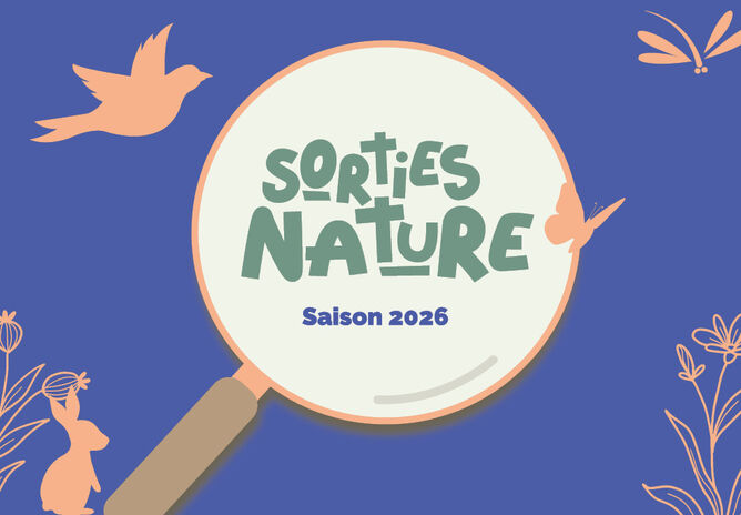 Sorties nature