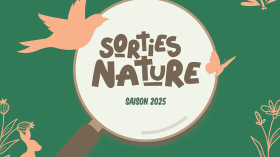 Sorties nature 2025
