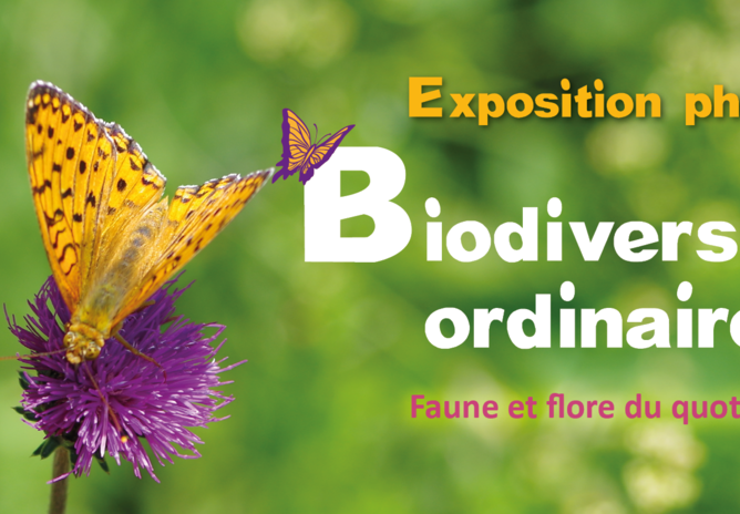 Exposition photographique "Biodiversité ordinaire"