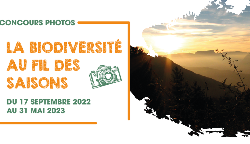 Toutes les actualités