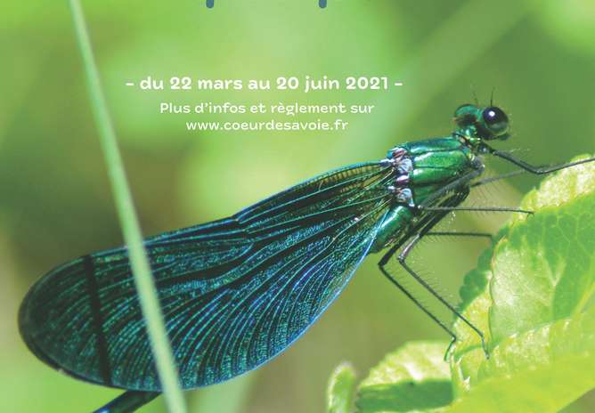Concours photo : milieux humides et aquatiques