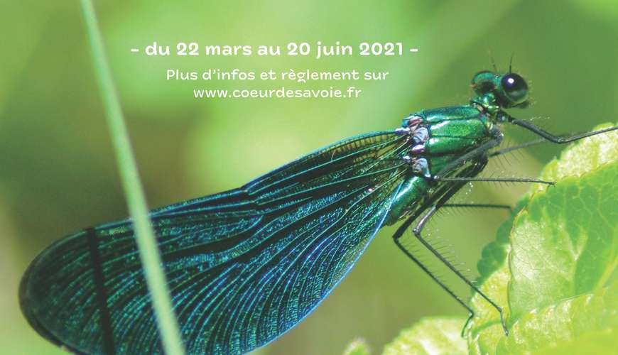 Toutes les actualités