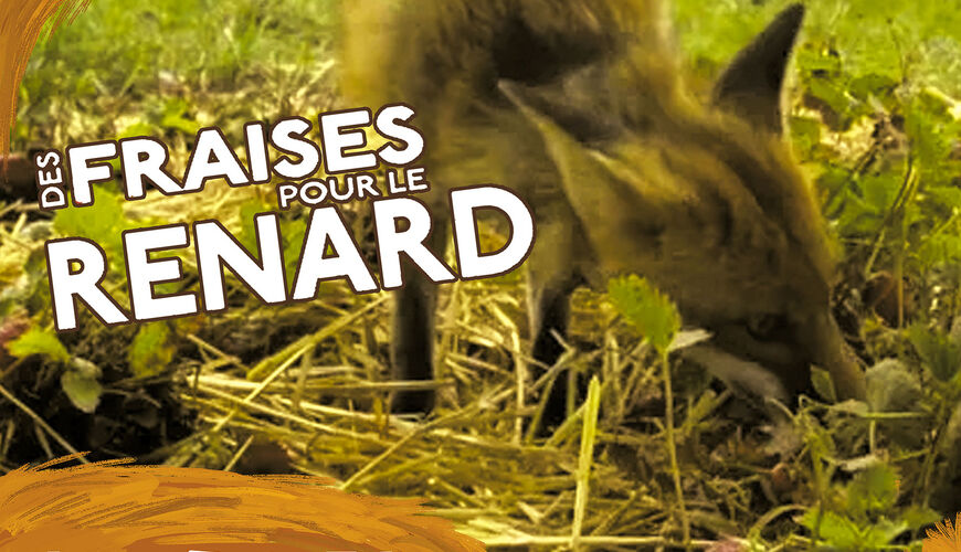 Projection nature "Des fraises pour le renard"