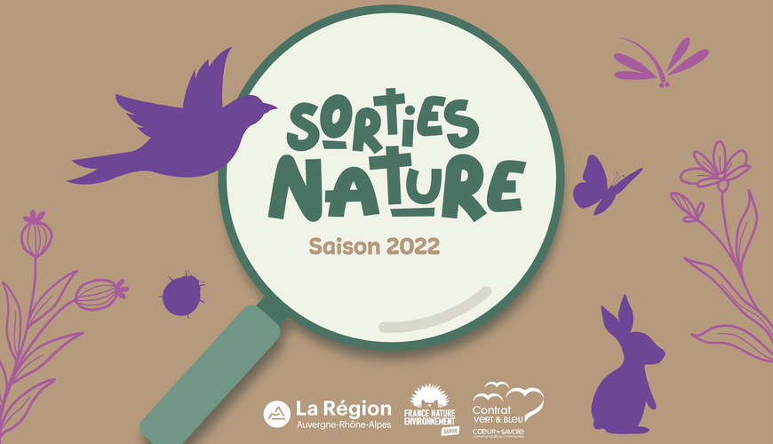 Sortie nature