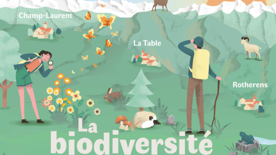 L'éveil de la forêt 