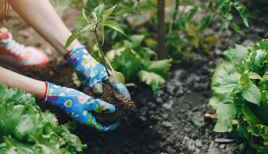 Atelier JARDINEZ AU NATUREL