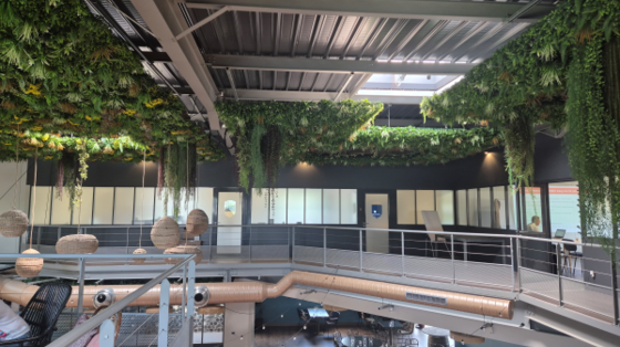 Bureaux de 33 m², 64 m² et 100 m²- Bâtiment Phoenix- Alpespace